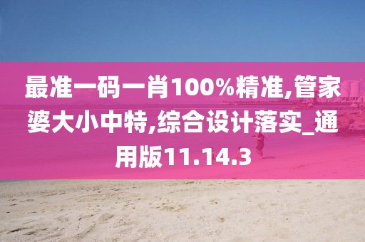 最準一碼一肖100%精準,管家婆大小中特,綜合設計落實_通用版11.14.3