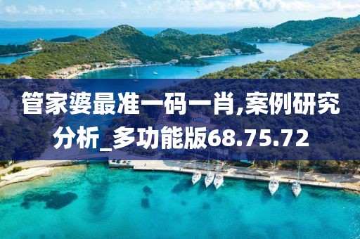 管家婆最準一碼一肖,案例研究分析_多功能版68.75.72