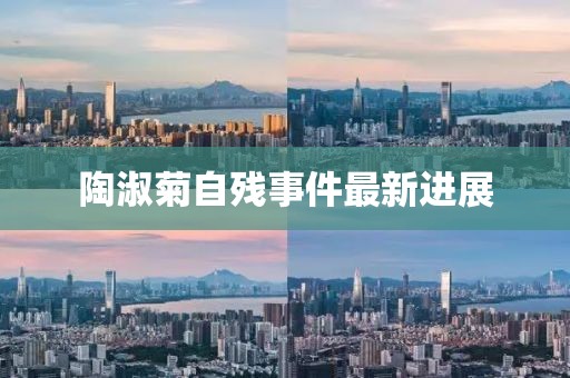 陶淑菊自殘事件最新進展