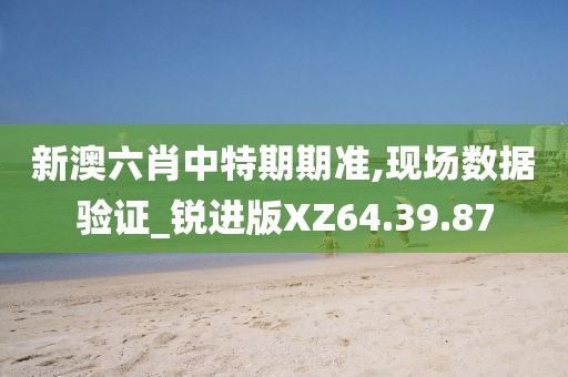 新澳六肖中特期期準(zhǔn),現(xiàn)場(chǎng)數(shù)據(jù)驗(yàn)證_銳進(jìn)版XZ64.39.87