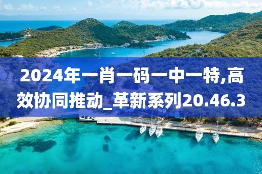 2024年一肖一碼一中一特,高效協(xié)同推動_革新系列20.46.3