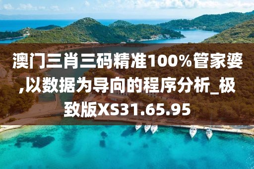 澳門三肖三碼精準(zhǔn)100%管家婆,以數(shù)據(jù)為導(dǎo)向的程序分析_極致版XS31.65.95