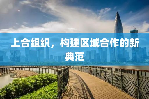 上合組織，構建區(qū)域合作的新典范