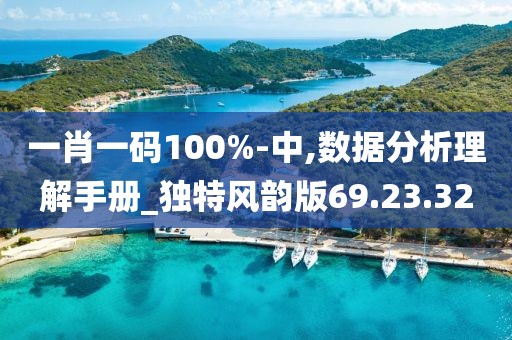 一肖一碼100%-中,數據分析理解手冊_獨特風韻版69.23.32