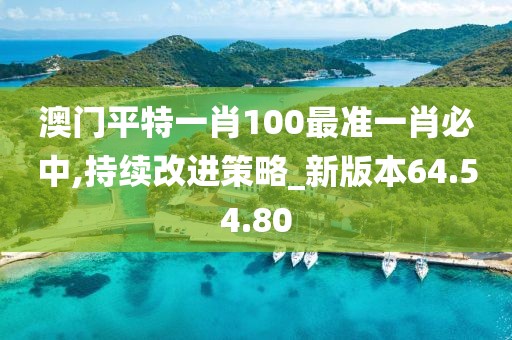 澳門平特一肖100最準一肖必中,持續(xù)改進策略_新版本64.54.80
