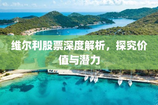 維爾利股票深度解析，探究?jī)r(jià)值與潛力