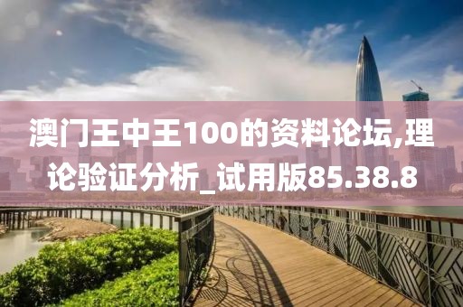 澳門王中王100的資料論壇,理論驗證分析_試用版85.38.8