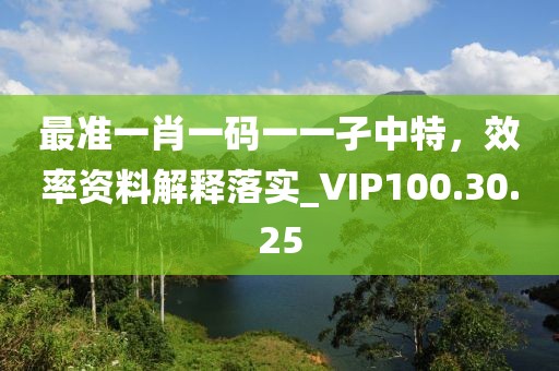 最準一肖一碼一一孑中特，效率資料解釋落實_VIP100.30.25
