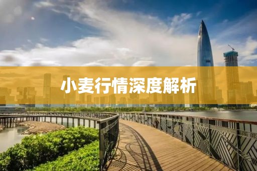 小麥行情深度解析