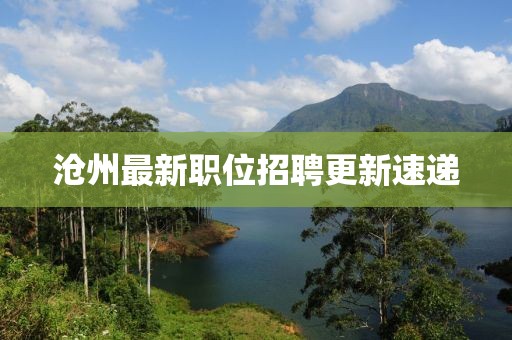 滄州最新職位招聘更新速遞