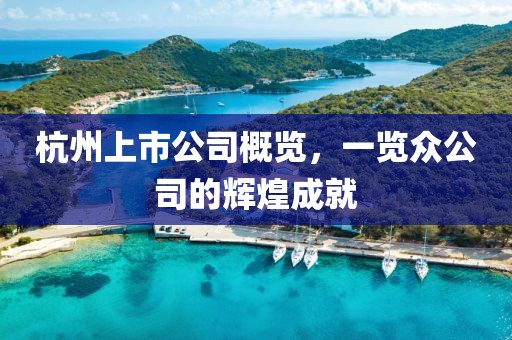 杭州上市公司概覽，一覽眾公司的輝煌成就
