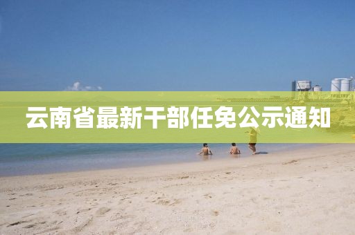 云南省最新干部任免公示通知