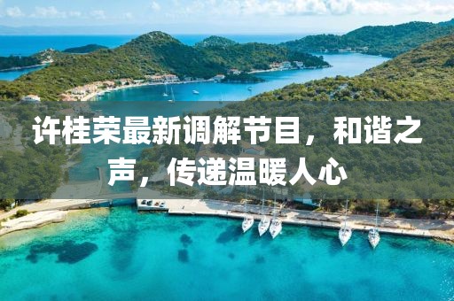 許桂榮最新調解節(jié)目，和諧之聲，傳遞溫暖人心