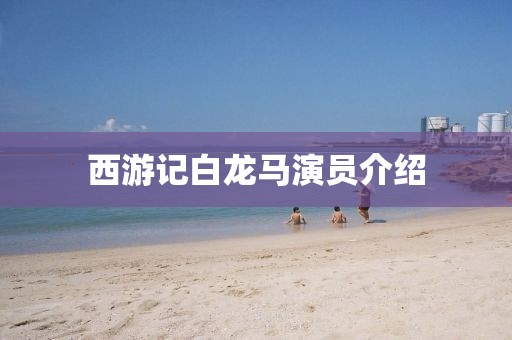 西游記白龍馬演員介紹