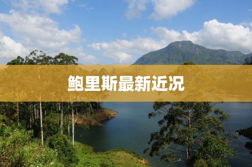 鮑里斯最新近況