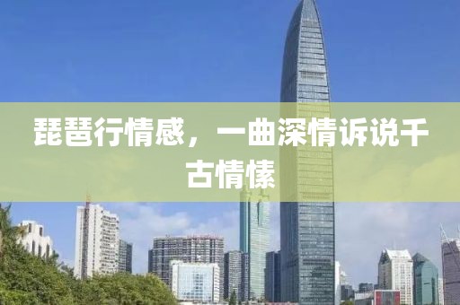 琵琶行情感，一曲深情訴說千古情愫