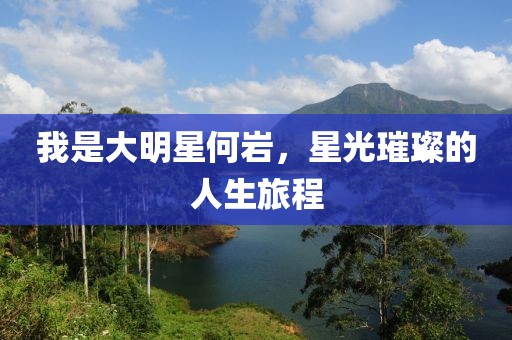 我是大明星何巖，星光璀璨的人生旅程