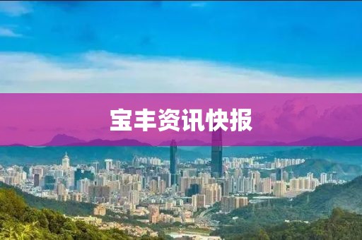 寶豐資訊快報(bào)