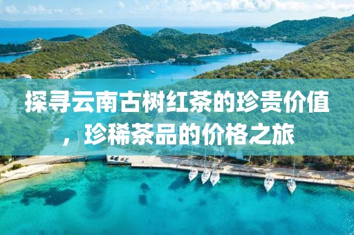 探尋云南古樹(shù)紅茶的珍貴價(jià)值，珍稀茶品的價(jià)格之旅