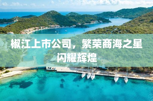 椒江上市公司，繁榮商海之星閃耀輝煌