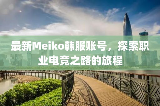 最新Meiko韓服賬號(hào)，探索職業(yè)電競(jìng)之路的旅程