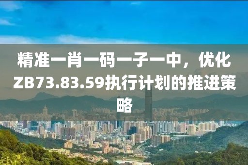 精準一肖一碼一子一中，優(yōu)化ZB73.83.59執(zhí)行計劃的推進策略