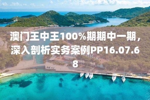 澳門(mén)王中王100%期期中一期，深入剖析實(shí)務(wù)案例PP16.07.68