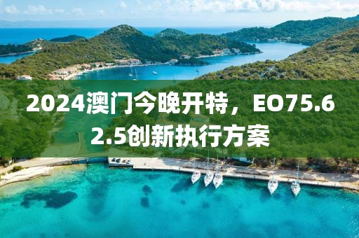2024澳門今晚開特，EO75.62.5創(chuàng)新執(zhí)行方案