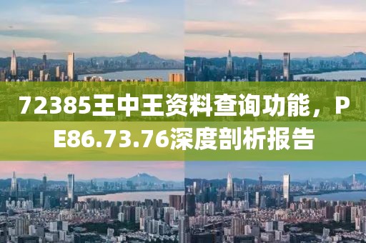 72385王中王資料查詢功能，PE86.73.76深度剖析報告