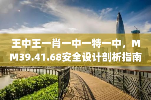 王中王一肖一中一特一中，MM39.41.68安全設(shè)計(jì)剖析指南