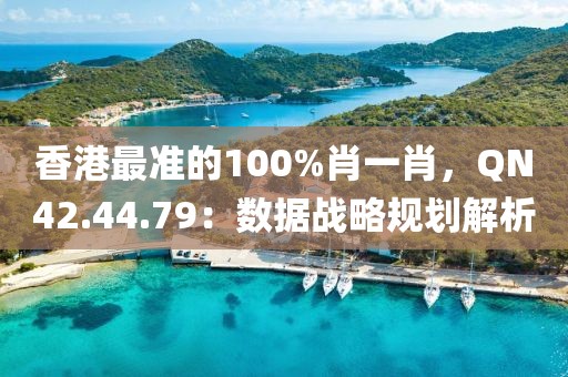 香港最準(zhǔn)的100%肖一肖，QN42.44.79：數(shù)據(jù)戰(zhàn)略規(guī)劃解析