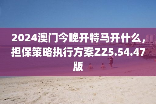 2024澳門今晚開特馬開什么，擔(dān)保策略執(zhí)行方案ZZ5.54.47版
