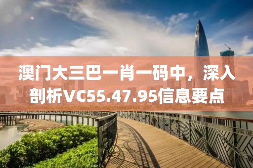 澳門大三巴一肖一碼中，深入剖析VC55.47.95信息要點(diǎn)