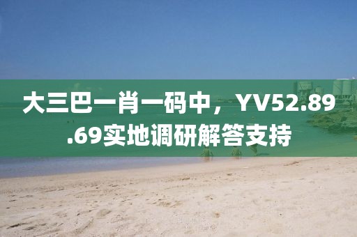 大三巴一肖一碼中，YV52.89.69實地調研解答支持