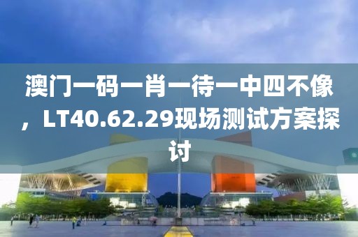 澳門一碼一肖一待一中四不像，LT40.62.29現(xiàn)場測試方案探討