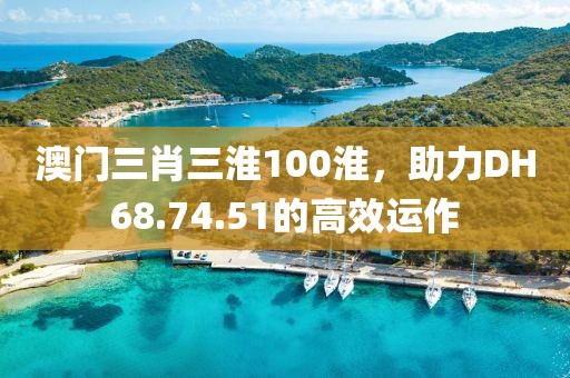 澳門三肖三淮100淮，助力DH68.74.51的高效運(yùn)作