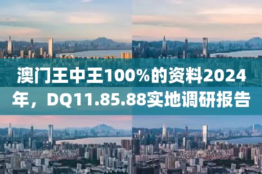 澳門王中王100%的資料2024年，DQ11.85.88實(shí)地調(diào)研報(bào)告