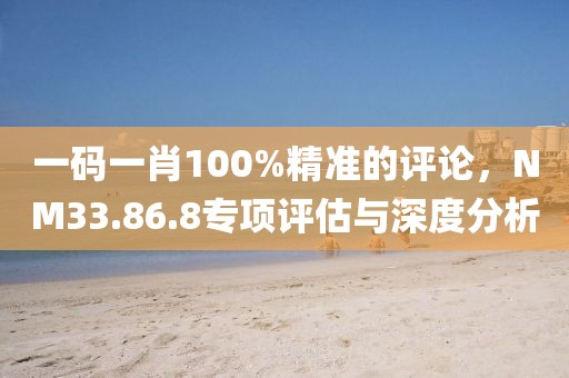 一碼一肖100%精準的評論，NM33.86.8專項評估與深度分析