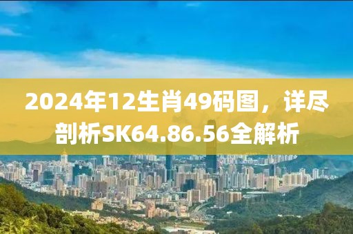 2024年12生肖49碼圖，詳盡剖析SK64.86.56全解析