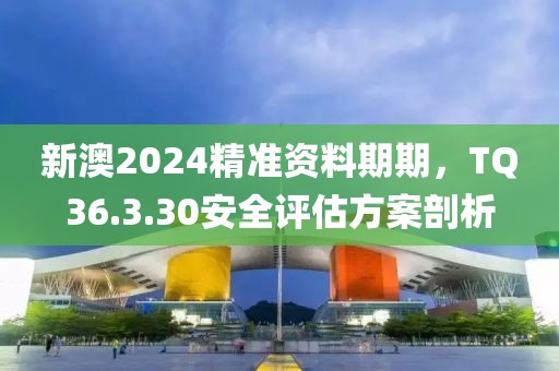 新澳2024精準資料期期，TQ36.3.30安全評估方案剖析