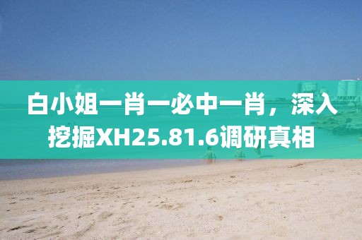 白小姐一肖一必中一肖，深入挖掘XH25.81.6調研真相