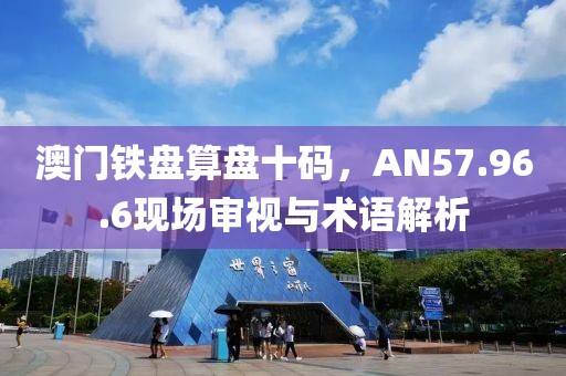 澳門(mén)鐵盤(pán)算盤(pán)十碼，AN57.96.6現(xiàn)場(chǎng)審視與術(shù)語(yǔ)解析