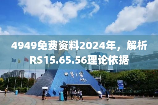 4949免費(fèi)資料2024年，解析RS15.65.56理論依據(jù)