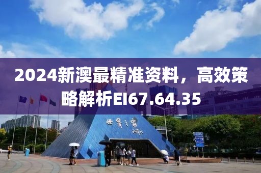 2024新澳最精準(zhǔn)資料，高效策略解析EI67.64.35