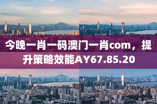 今晚一肖一碼澳門一肖com，提升策略效能AY67.85.20