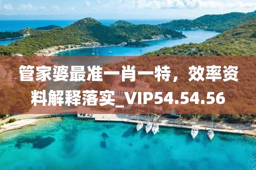 管家婆最準(zhǔn)一肖一特，效率資料解釋落實(shí)_VIP54.54.56