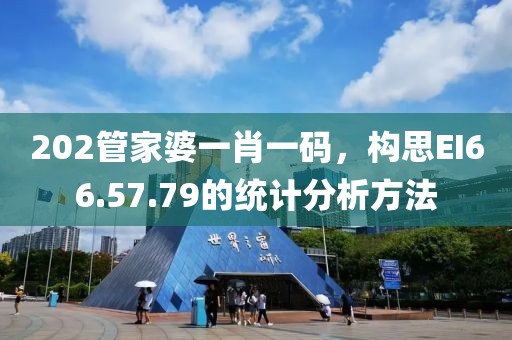 202管家婆一肖一碼，構(gòu)思EI66.57.79的統(tǒng)計(jì)分析方法
