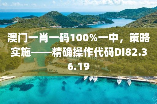 澳門一肖一碼100%一中，策略實施——精確操作代碼DI82.36.19
