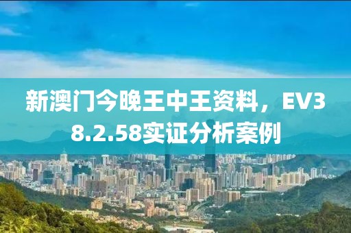 新澳門今晚王中王資料，EV38.2.58實證分析案例