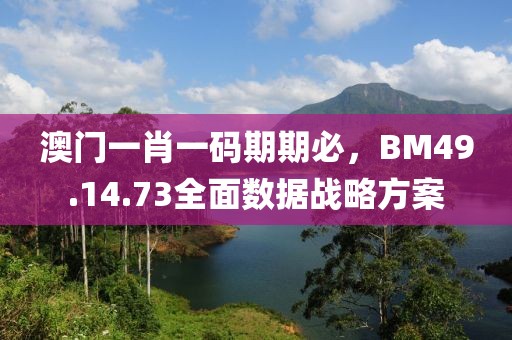 澳門一肖一碼期期必，BM49.14.73全面數(shù)據(jù)戰(zhàn)略方案